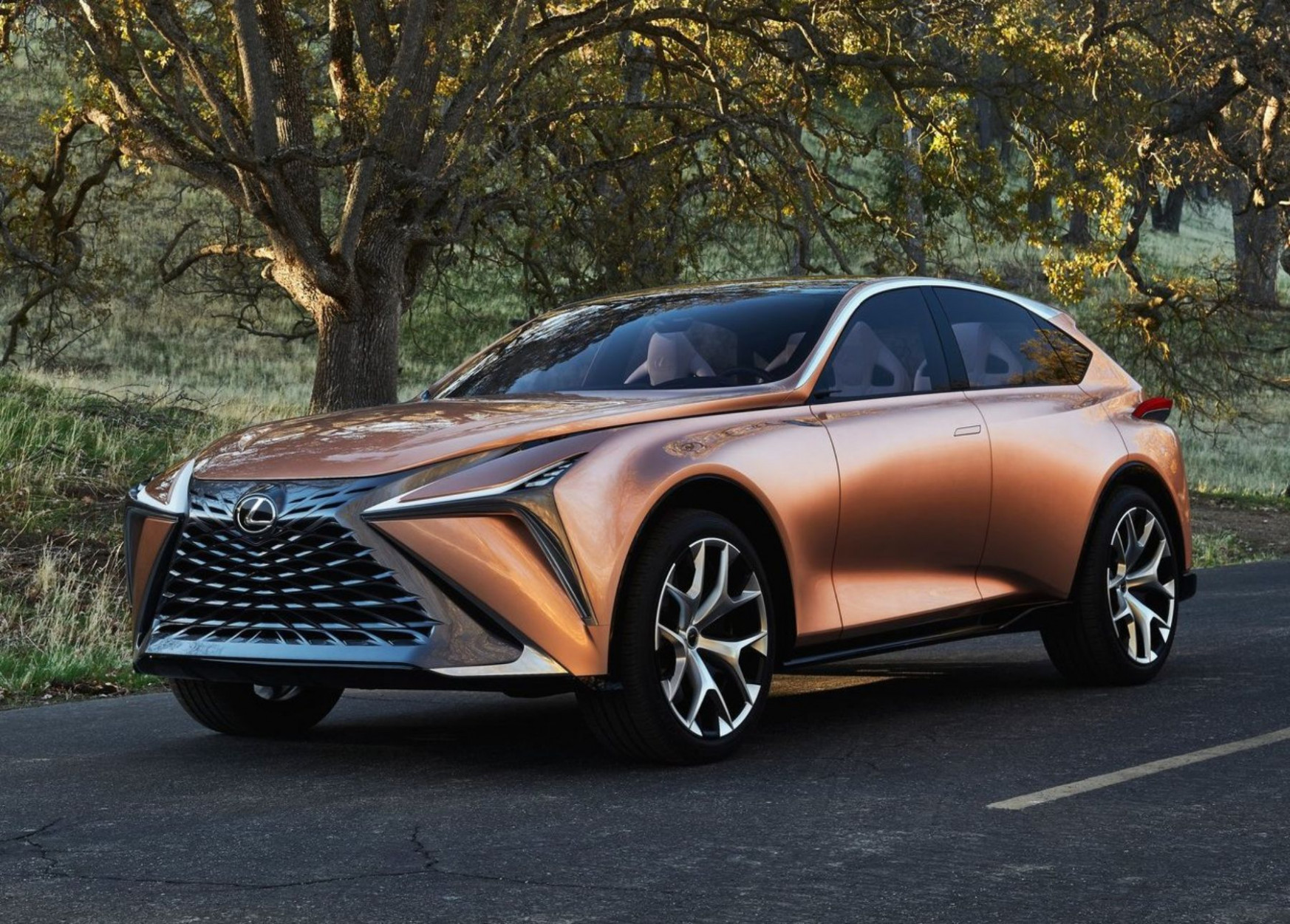 Configurations 2022 Lexus Lf Lc