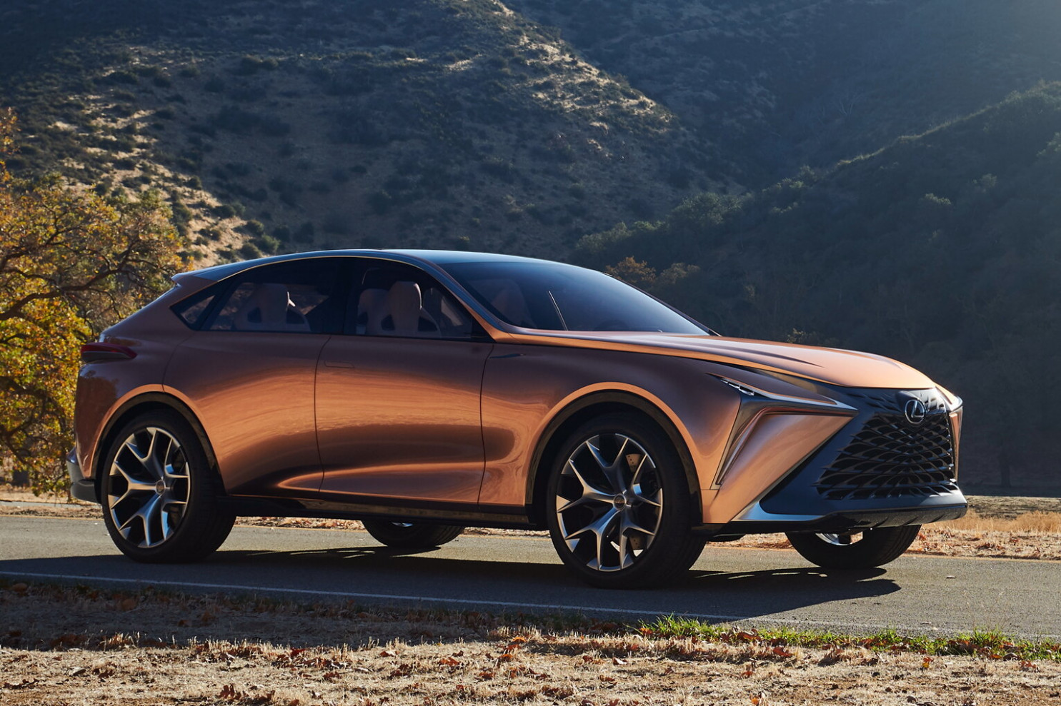 Engine 2022 Lexus Tx