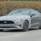 Ford Mustang 5: Preise, Technische Daten Und Verkaufsstart Ford Gt500 Mustang 2023