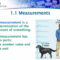 5 5 Measurements A Measurement Is A Determination Of The Amount Of 1