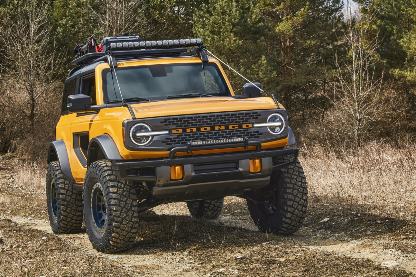 Performance and New Engine 2023 2 door bronco