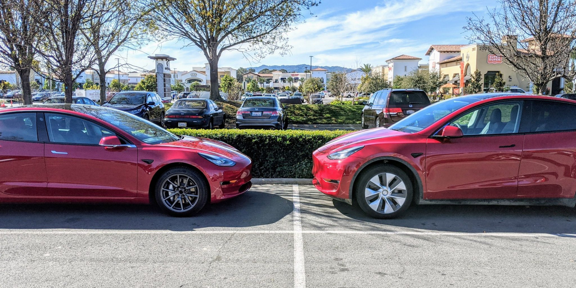 Another Tesla Model Y Size Comparison Shows Higher Ride Height Tesla Model Y Clearance